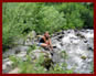 Girdwood Hiking and Trail Info