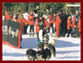 Dogsledding Girdwood Alaska